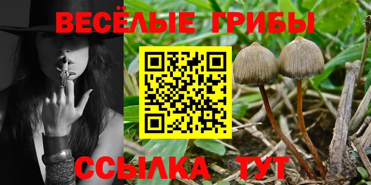 Псилоцибиновые грибы мухоморы  Псилоцибиновые грибы Psilocybine cubensis  Анапа  Вход с VPN 
